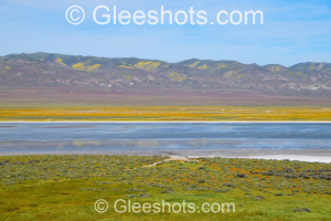 Soda Lake, Carrizo Plain, CA