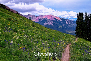 The narrow dirt 401 trail near Crested Butte winds through a vibrant alpine meadow filled with wildflowers in various colors. The path leads towards a range of rugged, purple-tinged mountains under a cloudy sky. Tall evergreen trees stand to the right.  Colorado Landscape Photography Print for Sale.