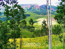 In this vibrant landscape near Crested Butte, Colorado, lush green meadows dotted with yellow wildflowers are showcased, bordered by tall, slender aspen trees in the foreground. Majestic, rolling hills and purple mountains are seen in the background. Colorado Fine Art Landscape Photography Print for Sale.