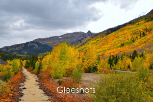 A scenic landscape along the Million Dollar Highway, featuring the narrow Red Mountain Creek bordered by red-orange rocks amidst vibrant autumn foliage.  Yellow, orange, and green aspen trees cover the nearby mountains.  Colorado Fine Art Landscape Photography Print for Sale.