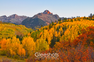The peak of the majestic Mount Sneffels is illuminated by the sun at sunset, surrounded by vibrant autumn foliage. A mix of yellow, orange, and red trees fills the landscape under a clear blue sky in this colorful scene of the San Juan Mountains.  Colorado Fine Art Landscape Photography Print for Sale.