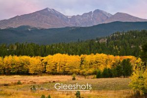 The majestic Rocky Mountains with snow-capped peaks stand in the background of this landscape scene from Estes Park Colorado in autumn. In the foreground, a vibrant grove of trees with golden yellow leaves contrasts with the surrounding green forest.   The evening sunset sky is dotted with shades of pink.  Colorado Fine Art Landscape Photography Print for Sale.