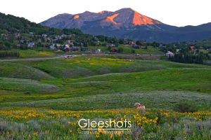 In Crested Butte, a horse stands in a yellow wildflower meadow at sunset, with mountains and the small town in the background. Sunlight illuminates the mountain peaks, giving them a reddish glow.   Colorado Fine Art Landscape Photography for Sale.