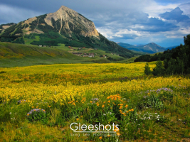 A moody mountain scene featuring a large field of vibrant orange and yellow wildflowers in the foreground, with Mt Crested Butte dominating the background.   Ominous storm clouds hover over the mountain creating interesting lighting effects on the landscape.  Colorado Fine Art Landscape Photography Print for Sale.