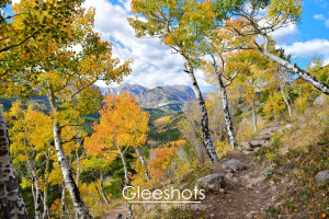A scenic mountain trail lined with vibrant autumn foliage in Rocky Mountain National Park, featuring yellow and orange leaves. The colorful path winds through aspen trees with mountains visible in the background.  Colorado Fine Art Landscape Photography Print for Sale.