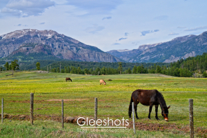 A scenic view of a mountainous landscape in Pagosa Springs, Colorado, with green pastures, featuring three horses grazing. One horse is in the foreground near a wire fence. Mountains and a partly cloudy sky form the backdrop.  Colorado Fine Art Landscape Photography Print for Sale.