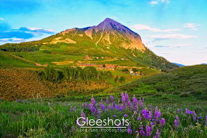 The sun shines on Mt Crested Butte at sunset, while purple lupine wildflowers blossom in the foreground in this peaceful summer scene.   Colorado Fine Art Landscape Photography Print for Sale.
