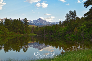 Mt Sneffels and nearby trees can be seen as they reflect in a pond in this serene mountain landscape scene. Fluffy clouds in the sky can seen in the reflection as well, adding to the peaceful setting. In the foreground, dry branches partially dip into the water.   Colorado Fine Art Landscape Photography Print for Sale.