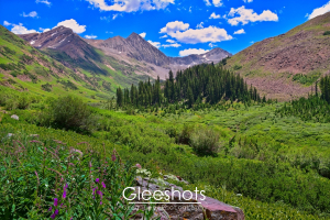Rustlers Gulch, located near Crested Butte, consists of breathtaking mountain landscapes with lush green valleys, dense evergreen forests, and rugged peaks. Purple and white wildflowers dot the foreground under a partly cloudy sky.  Colorado Fine Art Landscape Photography Print for Sale.