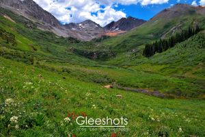 Red and white wildflowers dot the lush green valley of Rustlers Gulch near Crested Butte. Snow patches can be seen on the distant mountain peaks, with a waterfall visible in the distance.  Colorado Fine Art Landscape Photography Print for Sale.