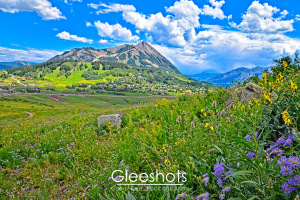 A picturesque landscape featuring a close-up of vibrant purple and yellow wildflowers among lush greenery in the foreground, with the mountain and town of Mt Crested Butte in the background.  The sky is a bright blue scattered with white clouds.  Colorado Fine Art Landscape Photography Print for Sale.
