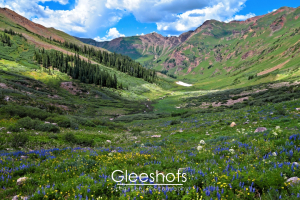 A lush, green valley in Rustlers Gulch stretches between rolling maroon-colored mountains. Dense patches of trees and blooming wildflowers, including purple and yellow hues, cover the landscape near Crested Butte.  Colorado Fine Art Landscape Photography Print for Sale.
