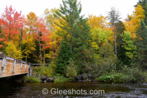 Bond Falls Foliage, Michigan