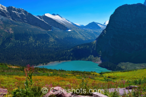 Alpine lake and wildflowers in Glacier National Park