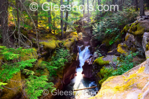 An ethereal forest scene at Avalanche Gorge in Glacier National Park, featuring a small waterfall flowing through moss-covered rocks, surrounded by lush green trees and sunlit foliage.  Montana Fine Art Landscape Photography Print for Sale.