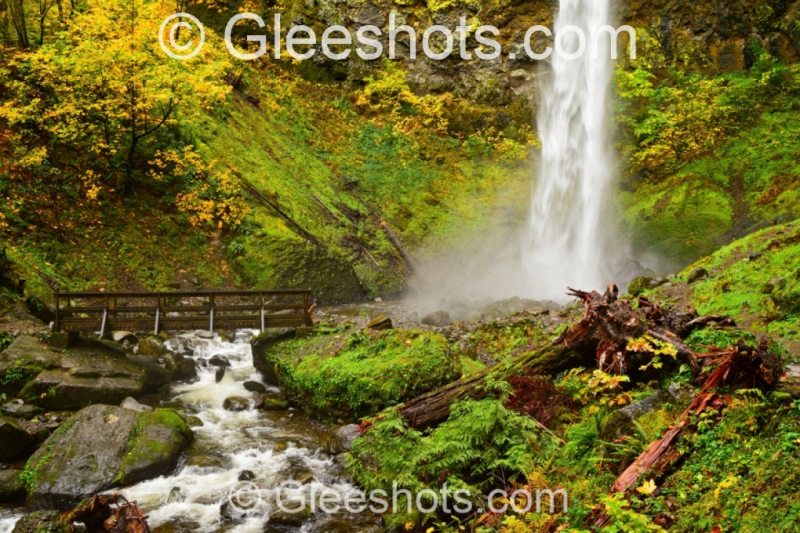 Elowah Falls cascades into a rocky stream, surrounded by colorful fall foliage, with a wooden bridge crossing the stream amidst lush greenery in the Columbia River Gorge.  Oregon Waterfall Fine Art Landscape Photography Print for Sale.