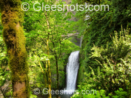 A vibrant landscape depicting Lower Multnomah Falls surrounded by lush greenery, with a stone bridge arching over the top amidst dense, moss-covered trees in the Columbia River Gorge of Oregon.  Fine Art Landscape Photography Print for Sale.