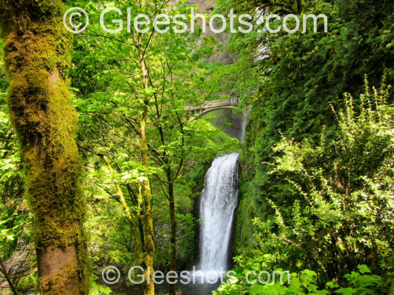 A vibrant landscape depicting Lower Multnomah Falls surrounded by lush greenery, with a stone bridge arching over the top amidst dense, moss-covered trees in the Columbia River Gorge of Oregon.  Fine Art Landscape Photography Print for Sale.