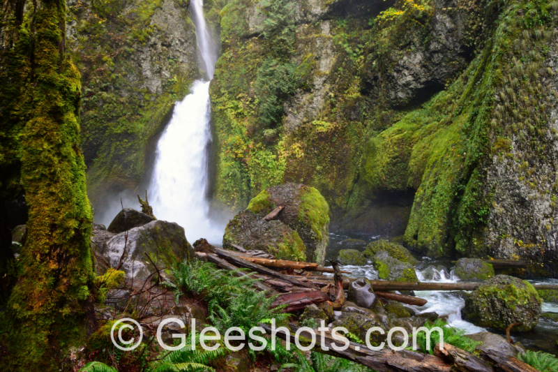 Wahclella Falls cascades down a moss-covered cliff into a rocky basin, surrounded by lush greenery and fallen logs in the Columbia River Gorge.   Oregon Waterfall Fine Art Landscape Photography Print for Sale.