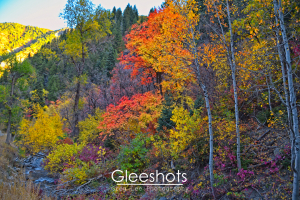A creek leading from Sundance Resort flows past colorful autumn trees with vibrant red, yellow, orange, and purple leaves.  Sunlight highlights the mountains in the distance along the Alpine Loop.  Utah Fine Art Landscape Photography Print for Sale.