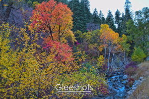 A colorful autumn forest with vibrant yellow, orange, and red leaves surrounds a small flowing creek below Sundance Resort.  Utah Fine Art Landscape Photography for Sale.