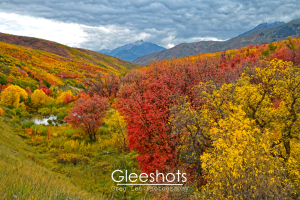 A vibrant autumn landscape with colorful trees in shades of red, yellow, green, and orange, set in a valley with distant mountains and a cloudy sky. Water from Provo Deer Creek is visible among the foliage near Cascade Springs.  Utah Fine Art Landscape Photography for Sale.