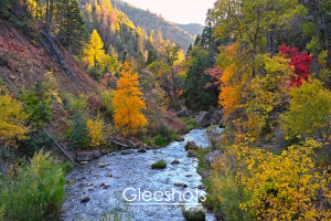 A river flows through Fifth Water Hot Springs Canyon with trees in vibrant autumn colors—yellow, orange, and red—under soft sunlight. The surrounding hills are covered in mixed green and fall foliage.  Utah Fine Art Landscape Photography for Sale.