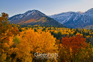 An autumn sunset on Mt Timpanogos, showing mountains with patches of snow, surrounded by vibrant autumn trees in shades of yellow, orange, and red.  Utah Fine Art Landscape Photography Print for Sale.