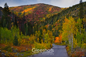 A road leads through Big Cottonwood Canyon in autumn, with trees in shades of pink, yellow, and green.  Utah Landscape Photography Print for Sale.
