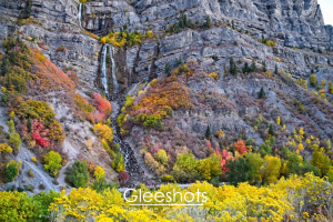 Bridal Veil Falls cascades down the mountain, surrounded by vibrant autumn foliage in shades of red, yellow, and green. Yellow flowering bushes fill the foreground, and colorful leaves decorate the rugged slopes.  Utah Fine Art Landscape Photography for Sale.