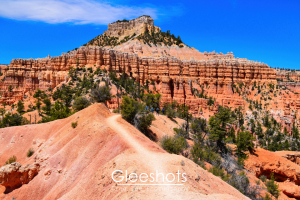 The Fairyland Loop Trail winds through red and orange rock formations with scattered green trees, leading toward a rugged mesa under a bright blue sky at Bryce Canyon National Park.  Landscape Photography Print for Sale.