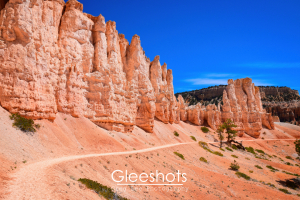 Along the Fairyland Loop Trail, a winding path leads past tall, orange and cream hoodoo formations under a vibrant blue sky at Bryce Canyon National Park. Sparse green shrubs dot the sandy landscape.  Utah Landscape Photography Print for Sale.