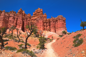 Red and orange rock formations and sparse trees are seen along the Fairyland Loop Trail in Bryce Canyon National Park,  under a clear blue sky.   Utah Fine Art Landscape Photography Print for Sale.