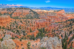 A panoramic view of Bryce Canyon from Fairyland Point, with vibrant orange rock formations, scattered green trees, and layered plateaus under a clear blue sky.  National Park Fine Art Landscape Photography.