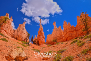 Tall orange rock hoodoos rise against a vivid blue sky with a single white cloud at Bryce Canyon National Park along the Peekaboo Connector Trail. Sparse green shrubs dot the rocky, sunlit landscape.  Utah Fine Art Landscape Photography Print.