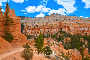 Orange and cream-colored rock formations with pine trees scattered throughout can be seen along the Peekaboo Loop Trail in Bryce Canyon, set against a bright blue sky with scattered clouds.  Utah Fine Art Landscape Photography Print for Sale.