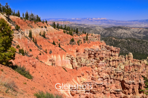 In this view from Ponderosa Point in Bryce Canyon,  orange and yellow rock formations and hoodoos rise dramatically from the canyon in a desert landscape, with scattered trees along the rim and distant mesas under a clear blue sky.  Utah Landscape Photography Print for Sale.