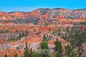 Colorful layered rock formations and hoodoos rise above a forest of scattered pine trees under a clear blue sky in Bryce Canyon National Park, as seen from the Rim Trail Overlook. Bryce Canyon National Park Landscape Photography Print for Sale.