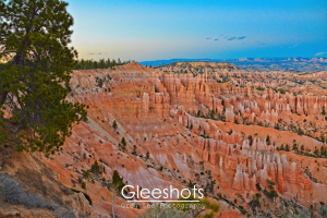 A scenic view of Bryce Canyon’s orange rock hoodoos at sunset from Sunset Point, with green trees on the left and a clear blue sky above.   Utah Fine Art Landscape Photography Print for Sale.