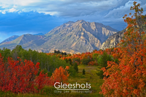 At Cascade Meadows, vibrant autumn trees with red and orange leaves frame a scenic mountain landscape under a dramatic cloudy sky.  Sunlight lights up Mount Timpanogos in the background.  Utah Fine Art Landscape Photography for Sale.