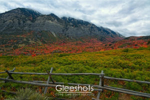 A scenic mountain landscape with a wooden fence overlooking a vibrant autumn scene with colorful red and green trees and Cascade Mountain under a cloudy sky.  Utah Fine Art Landscape Photography for Sale.