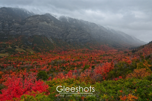 A wide valley filled with vibrant red and orange autumn trees stretches toward rugged, snow-capped mountains under a gray sky.   Utah Fine Art Landscape Photography for Sale.