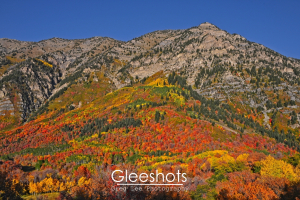 Cascade Mountain in Provo with colorful autumn foliage in vibrant red, orange, green, and yellow hues under a clear blue sky.   Utah Fine Art Landscape Photography for Sale.