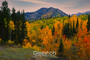 A scenic autumn landscape with vibrant orange, red, yellow, and green trees in the foreground, tall pine trees, and the peaks of Mt Timpanogos in the background.  Utah Fine Art Landscape Photography Print for Sale.