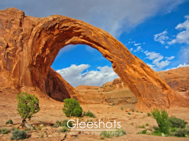 Corona Arch in Moab rises from the orange-hued  desert landscape, framed by a vivid blue sky. Sparse green shrubs and small trees grow in the foreground.   Utah Fine Art Landscape Photography for Sale.
