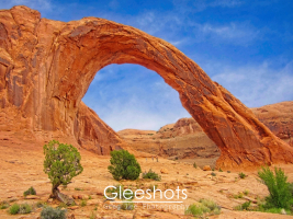 Corona Arch in Moab rises from the orange-hued  desert landscape, framed by a vivid blue sky. People can be seen below, showcasing the massive size of the arch.  Utah Fine Art Landscape Photography for Sale.