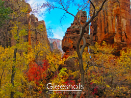 Colorful red and yellow autumn colors surround the Temple of Sinawava in Zion National Park.  Utah Fine Art Landscape Photography Print for Sale.