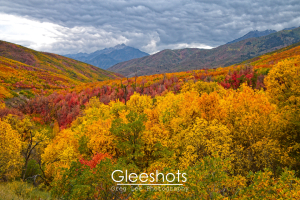A vibrant autumn landscape near Cascade Springs Utah, with rolling hills covered in colorful trees in shades of yellow, orange, green, and red beneath a cloudy sky. Snow-capped mountains are visible in the distance.   Utah Fine Art Landscape Photography for Sale.