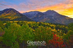A brilliant autumn landscape taken along the Alpine Loop features colorful trees in shades of green, yellow, and red against the backdrop of Mt Timpanogos under a dramatic, glowing sunset sky.  Utah Fine Art Landscape Photography Print for Sale.