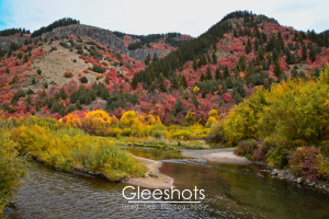 The Logan River flows through Logan Canyon, with mountains covered in autumn colors of pink, yellow, and green.  Utah Landscape Photography Print.